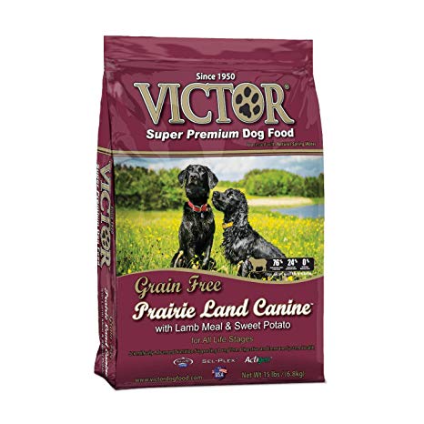 victor grain free dog food 50 lb