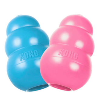 Kong Puppy